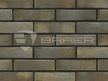 Кирпич облицовочный браер BRAER Pro 2.10, 1 НФ, М150